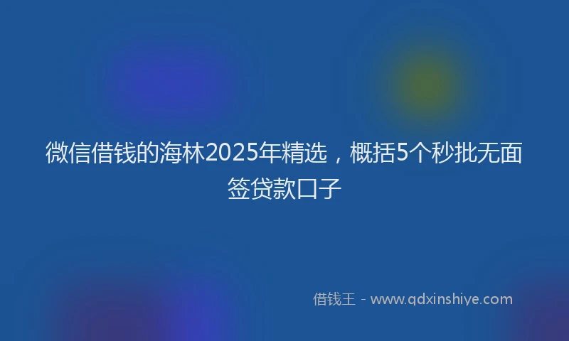 微信借钱的海林2025年精选，概括5个秒批无面签贷款口子