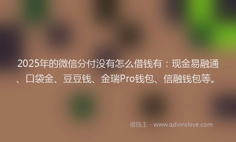 2025年的微信分付没有怎么借钱有：现金易融通、口袋金、豆豆钱、金瑞Pro钱包、信融钱包等。
