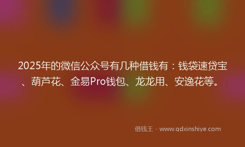 2025年的微信公众号有几种借钱有：钱袋速贷宝、葫芦花、金易Pro钱包、龙龙用、安逸花等。