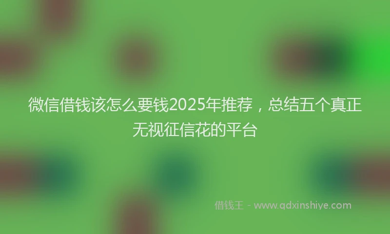 微信借钱该怎么要钱2025年推荐，总结五个真正无视征信花的平台