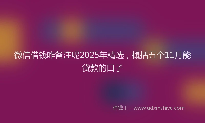 微信借钱咋备注呢2025年精选，概括五个11月能贷款的口子