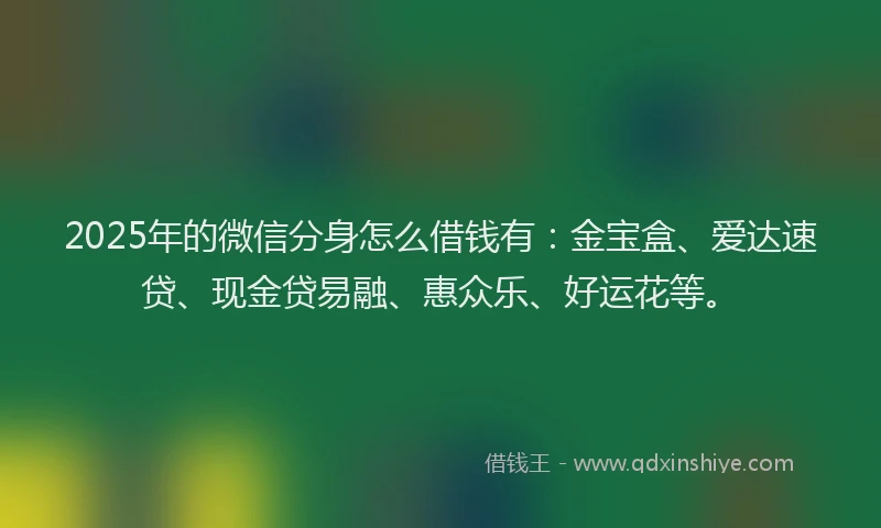 2025年的微信分身怎么借钱有：金宝盒、爱达速贷、现金贷易融、惠众乐、好运花等。