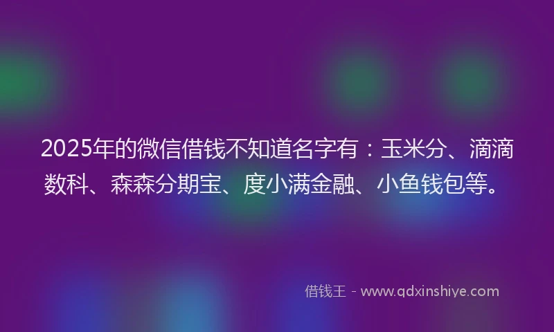 2025年的微信借钱不知道名字有：玉米分、滴滴数科、森森分期宝、度小满金融、小鱼钱包等。