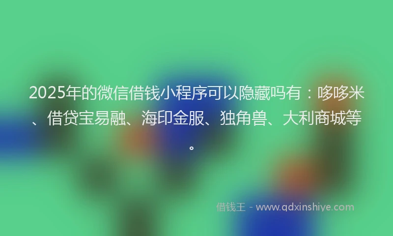 2025年的微信借钱小程序可以隐藏吗有：哆哆米、借贷宝易融、海印金服、独角兽、大利商城等。
