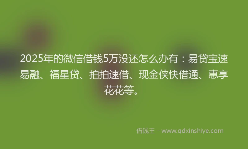 2025年的微信借钱5万没还怎么办有：易贷宝速易融、福星贷、拍拍速借、现金侠快借通、惠享花花等。