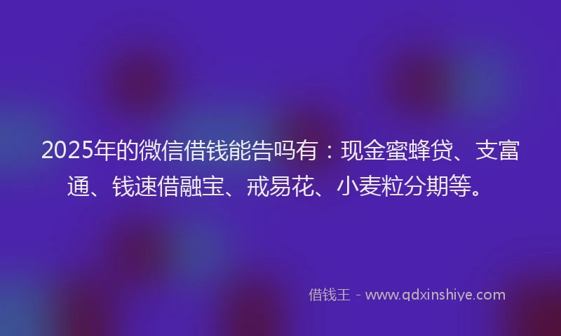 2025年的微信借钱能告吗有：现金蜜蜂贷、支富通、钱速借融宝、戒易花、小麦粒分期等。