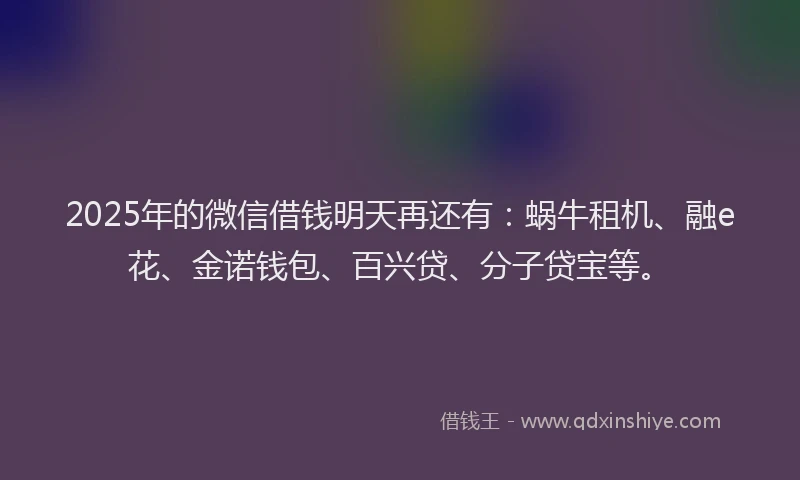 2025年的微信借钱明天再还有：蜗牛租机、融e花、金诺钱包、百兴贷、分子贷宝等。