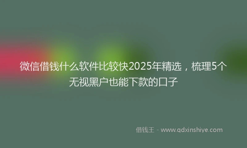 微信借钱什么软件比较快2025年精选，梳理5个无视黑户也能下款的口子