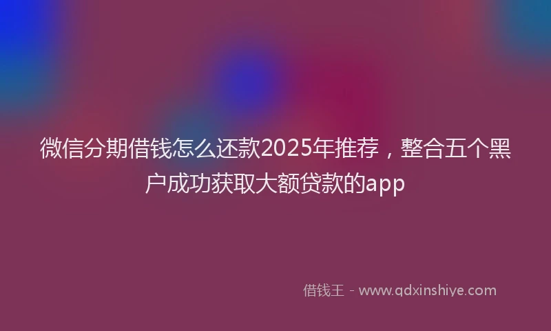 微信分期借钱怎么还款2025年推荐，整合五个黑户成功获取大额贷款的app