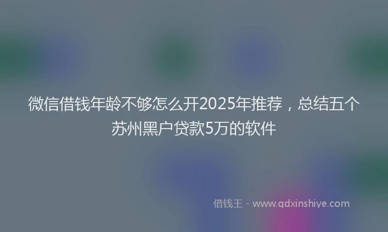微信借钱年龄不够怎么开2025年推荐，总结五个苏州黑户贷款5万的软件