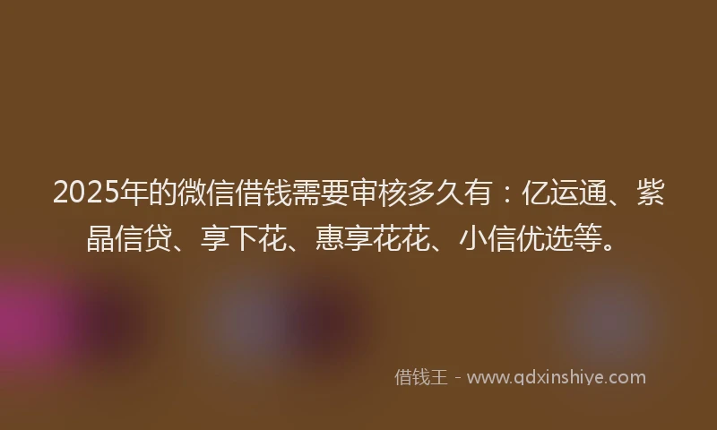 2025年的微信借钱需要审核多久有：亿运通、紫晶信贷、享下花、惠享花花、小信优选等。