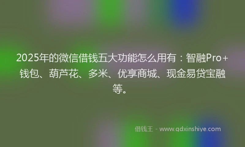 2025年的微信借钱五大功能怎么用有：智融Pro+钱包、葫芦花、多米、优享商城、现金易贷宝融等。