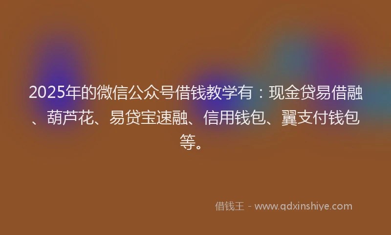 2025年的微信公众号借钱教学有：现金贷易借融、葫芦花、易贷宝速融、信用钱包、翼支付钱包等。