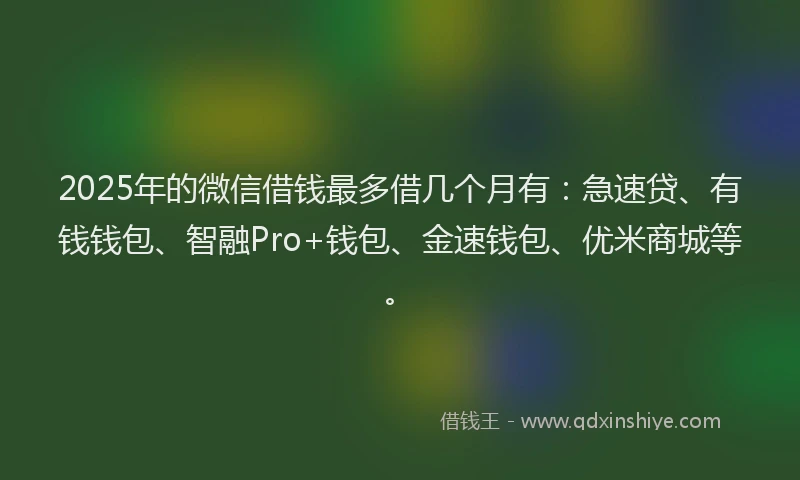 2025年的微信借钱最多借几个月有：急速贷、有钱钱包、智融Pro+钱包、金速钱包、优米商城等。