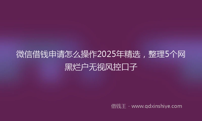 微信借钱申请怎么操作2025年精选，整理5个网黑烂户无视风控口子