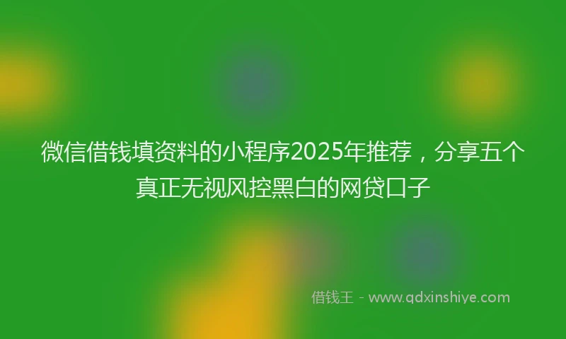微信借钱填资料的小程序2025年推荐，分享五个真正无视风控黑白的网贷口子