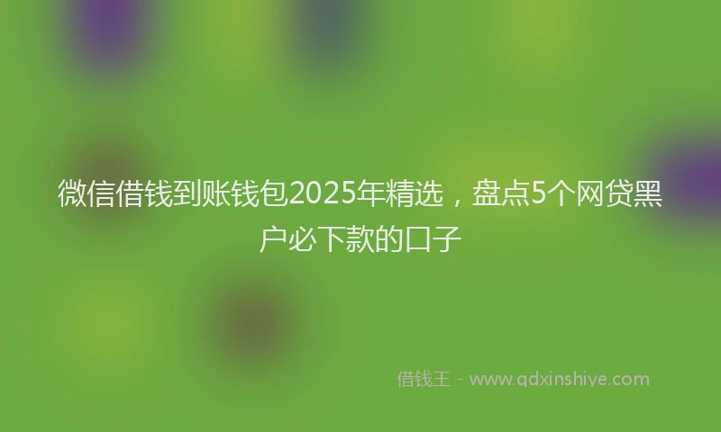 微信借钱到账钱包2025年精选，盘点5个网贷黑户必下款的口子
