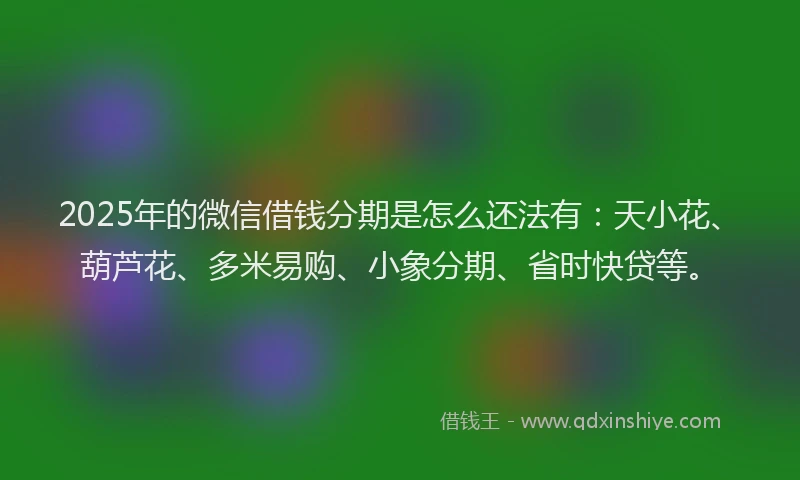 2025年的微信借钱分期是怎么还法有：天小花、葫芦花、多米易购、小象分期、省时快贷等。