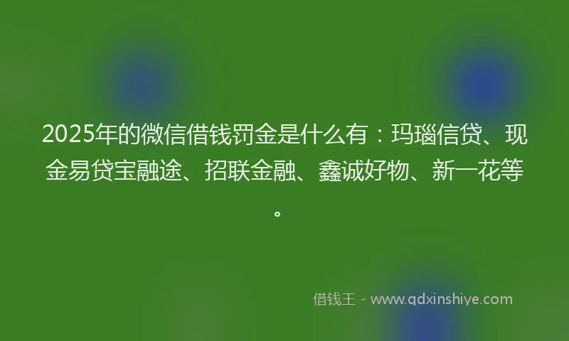 2025年的微信借钱罚金是什么有：玛瑙信贷、现金易贷宝融途、招联金融、鑫诚好物、新一花等。