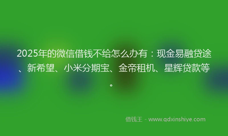 2025年的微信借钱不给怎么办有：现金易融贷途、新希望、小米分期宝、金帝租机、星辉贷款等。
