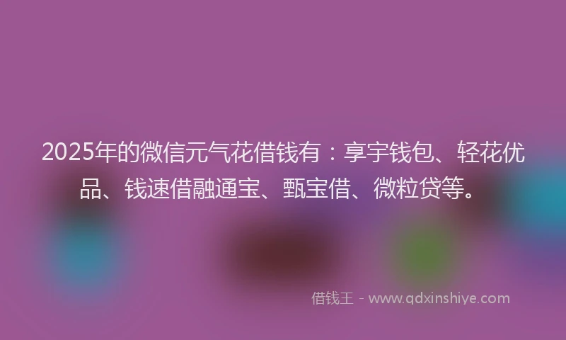 2025年的微信元气花借钱有：享宇钱包、轻花优品、钱速借融通宝、甄宝借、微粒贷等。
