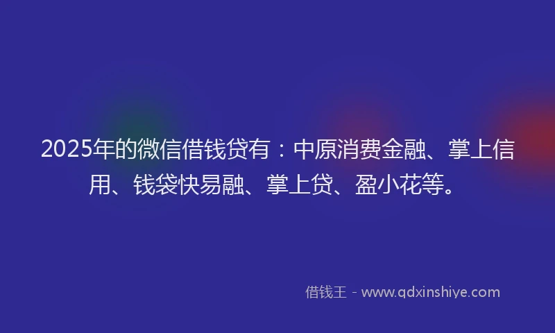 2025年的微信借钱贷有：中原消费金融、掌上信用、钱袋快易融、掌上贷、盈小花等。