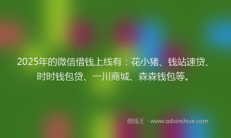 2025年的微信借钱上线有：花小猪、钱站速贷、时时钱包贷、一川商城、森森钱包等。