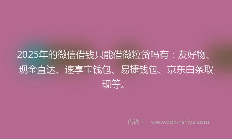 2025年的微信借钱只能借微粒贷吗有：友好物、现金直达、速享宝钱包、易捷钱包、京东白条取现等。