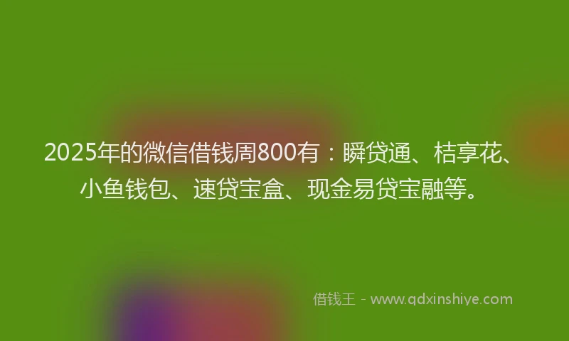 2025年的微信借钱周800有：瞬贷通、桔享花、小鱼钱包、速贷宝盒、现金易贷宝融等。