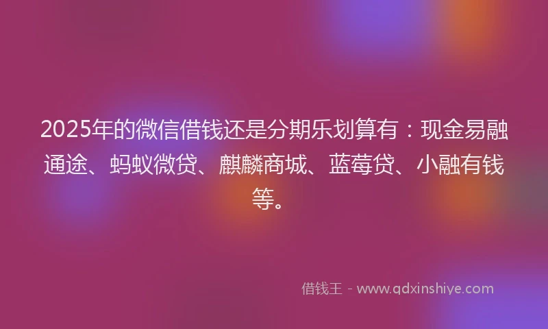 2025年的微信借钱还是分期乐划算有：现金易融通途、蚂蚁微贷、麒麟商城、蓝莓贷、小融有钱等。