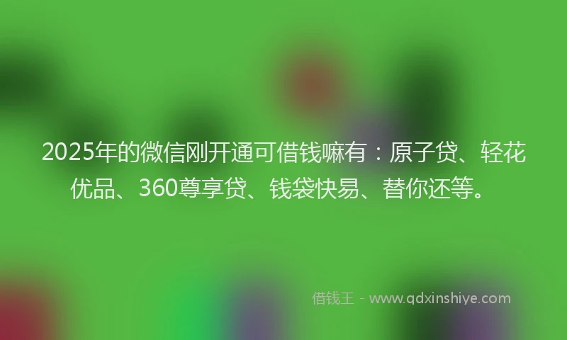 2025年的微信刚开通可借钱嘛有：原子贷、轻花优品、360尊享贷、钱袋快易、替你还等。