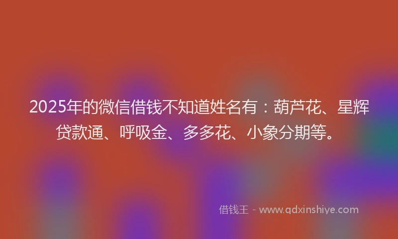 2025年的微信借钱不知道姓名有：葫芦花、星辉贷款通、呼吸金、多多花、小象分期等。