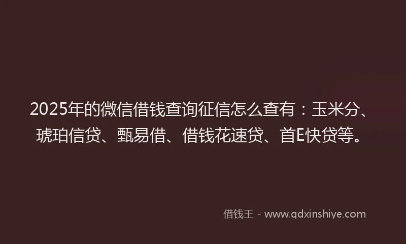 2025年的微信借钱查询征信怎么查有：玉米分、琥珀信贷、甄易借、借钱花速贷、首E快贷等。
