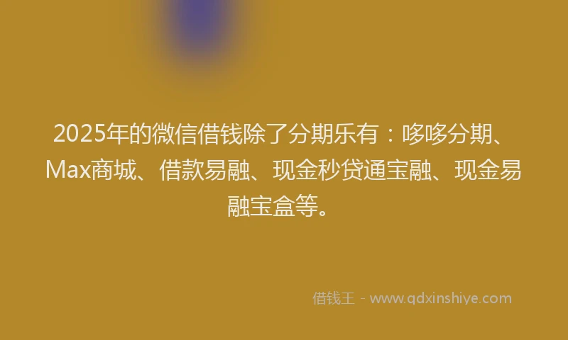 2025年的微信借钱除了分期乐有：哆哆分期、Max商城、借款易融、现金秒贷通宝融、现金易融宝盒等。