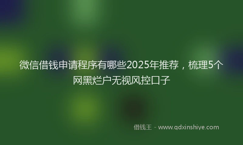 微信借钱申请程序有哪些2025年推荐，梳理5个网黑烂户无视风控口子