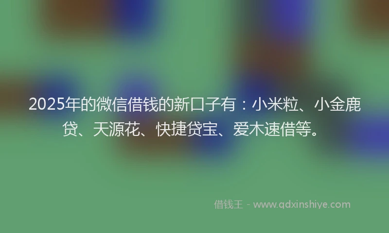 2025年的微信借钱的新口子有：小米粒、小金鹿贷、天源花、快捷贷宝、爱木速借等。
