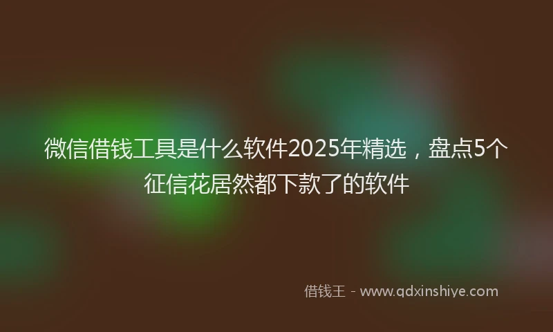 微信借钱工具是什么软件2025年精选，盘点5个征信花居然都下款了的软件