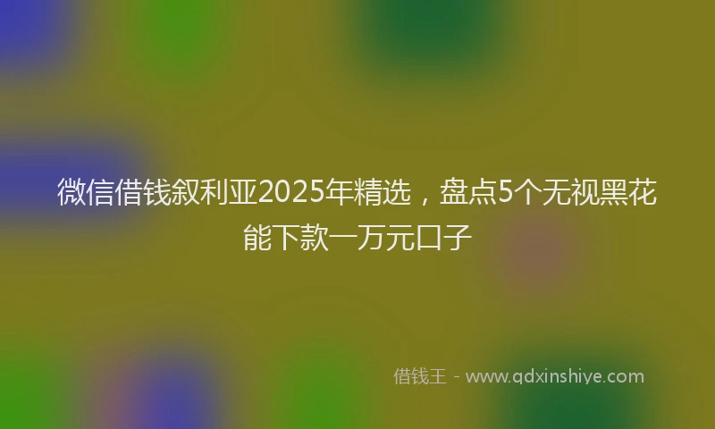 微信借钱叙利亚2025年精选，盘点5个无视黑花能下款一万元口子