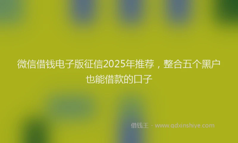微信借钱电子版征信2025年推荐，整合五个黑户也能借款的口子