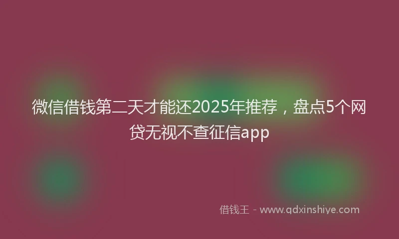 微信借钱第二天才能还2025年推荐，盘点5个网贷无视不查征信app