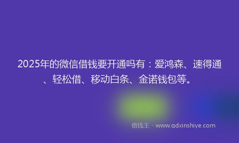 2025年的微信借钱要开通吗有：爱鸿森、速得通、轻松借、移动白条、金诺钱包等。