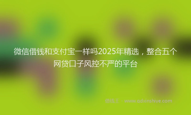 微信借钱和支付宝一样吗2025年精选，整合五个网贷口子风控不严的平台