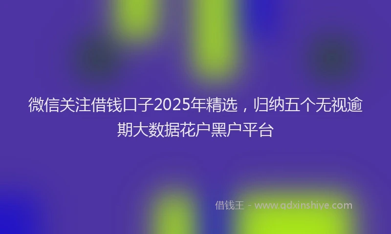 微信关注借钱口子2025年精选，归纳五个无视逾期大数据花户黑户平台