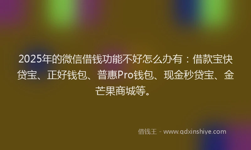 2025年的微信借钱功能不好怎么办有：借款宝快贷宝、正好钱包、普惠Pro钱包、现金秒贷宝、金芒果商城等。