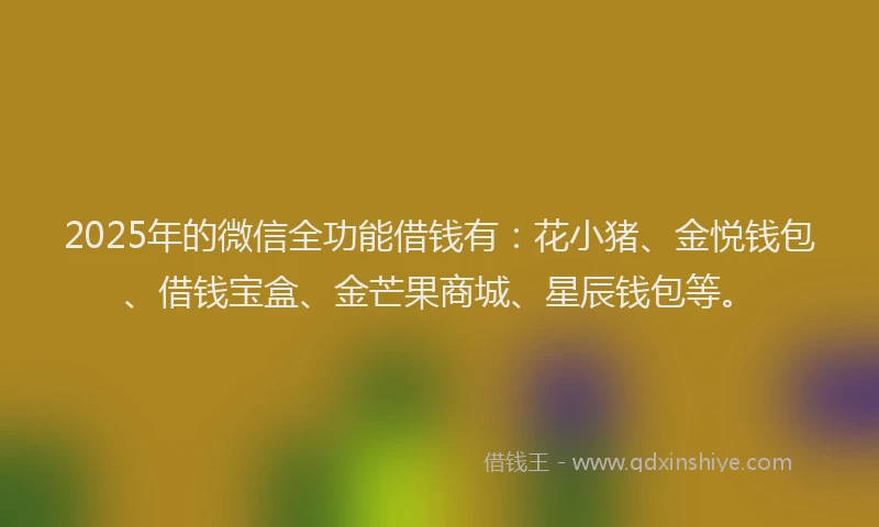 2025年的微信全功能借钱有：花小猪、金悦钱包、借钱宝盒、金芒果商城、星辰钱包等。