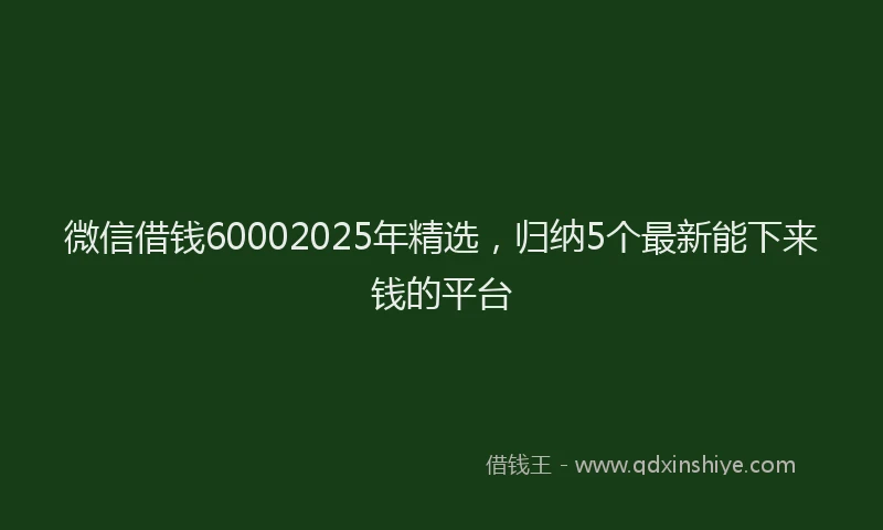微信借钱60002025年精选，归纳5个最新能下来钱的平台