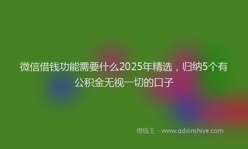微信借钱功能需要什么2025年精选，归纳5个有公积金无视一切的口子
