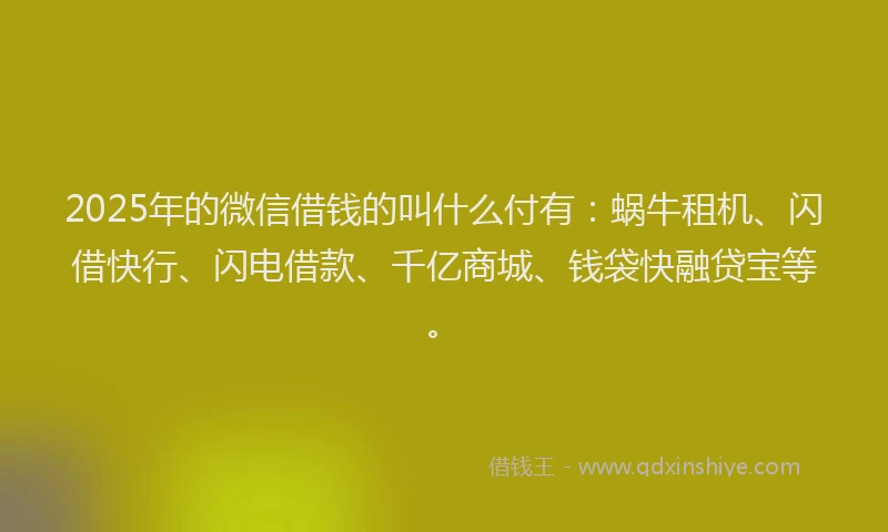 2025年的微信借钱的叫什么付有：蜗牛租机、闪借快行、闪电借款、千亿商城、钱袋快融贷宝等。