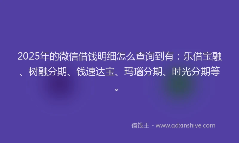 2025年的微信借钱明细怎么查询到有：乐借宝融、树融分期、钱速达宝、玛瑙分期、时光分期等。