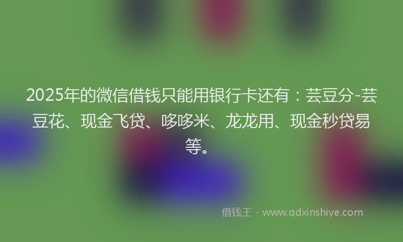 2025年的微信借钱只能用银行卡还有：芸豆分-芸豆花、现金飞贷、哆哆米、龙龙用、现金秒贷易等。